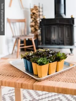 Gardener's Best® XL 6-Cell Planting Tray, Set Of 4 -Gardening Sales Store 8613031 01IN cdt