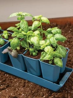 Gardener's Best® XL 6-Cell Planting Tray, Set Of 4 -Gardening Sales Store 8613031 6302