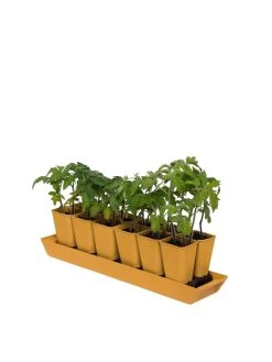 Gardener's Best® XL Seed Starting Kit -Gardening Sales Store 8613066 1029