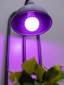 Kira Grow Light Hanging Planter -Gardening Sales Store 8613232 5663