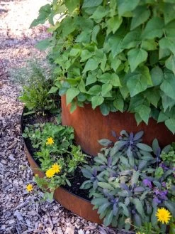 Birdies™ Corten Steel Tiered Round Raised Bed Kit, Tall -Gardening Sales Store 8613245 0195