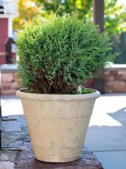 Self-Watering LavaStone® Anson Pot -Gardening Sales Store 8613255 0144