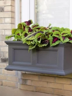 Fairfield Self-Watering Window Box, 2’ -Gardening Sales Store 8613268 08V tif