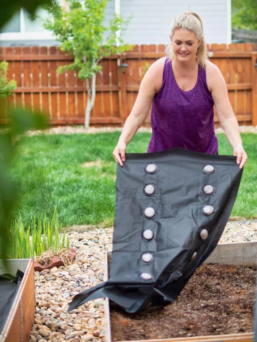 SeedSheets Organic Vegetable Garden, Easy Breezy Caprese, 4' X 8' 5 SeedSheets Organic Vegetable Garden, Easy Breezy Caprese, 4' X 8' - Image 5