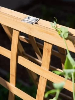 Bambo A Frame Plant Support, 30" X 42.5" 13 Bambo A Frame Plant Support, 30" X 42.5" -Gardening Sales Store 8613310 6525