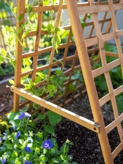 Bambo A Frame Plant Support, 30" X 42.5" 11 Bambo A Frame Plant Support, 30" X 42.5" -Gardening Sales Store 8613310 6556