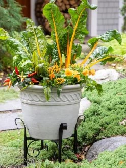 Covington Adjustable Plant Stands -Gardening Sales Store 8613347 0113