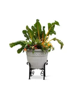 Covington Adjustable Plant Stands -Gardening Sales Store 8613347 0119