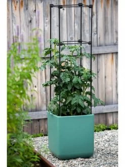 Oasis Self-Watering Tomato Planter With Trellis -Gardening Sales Store 8613440 0373 3 4