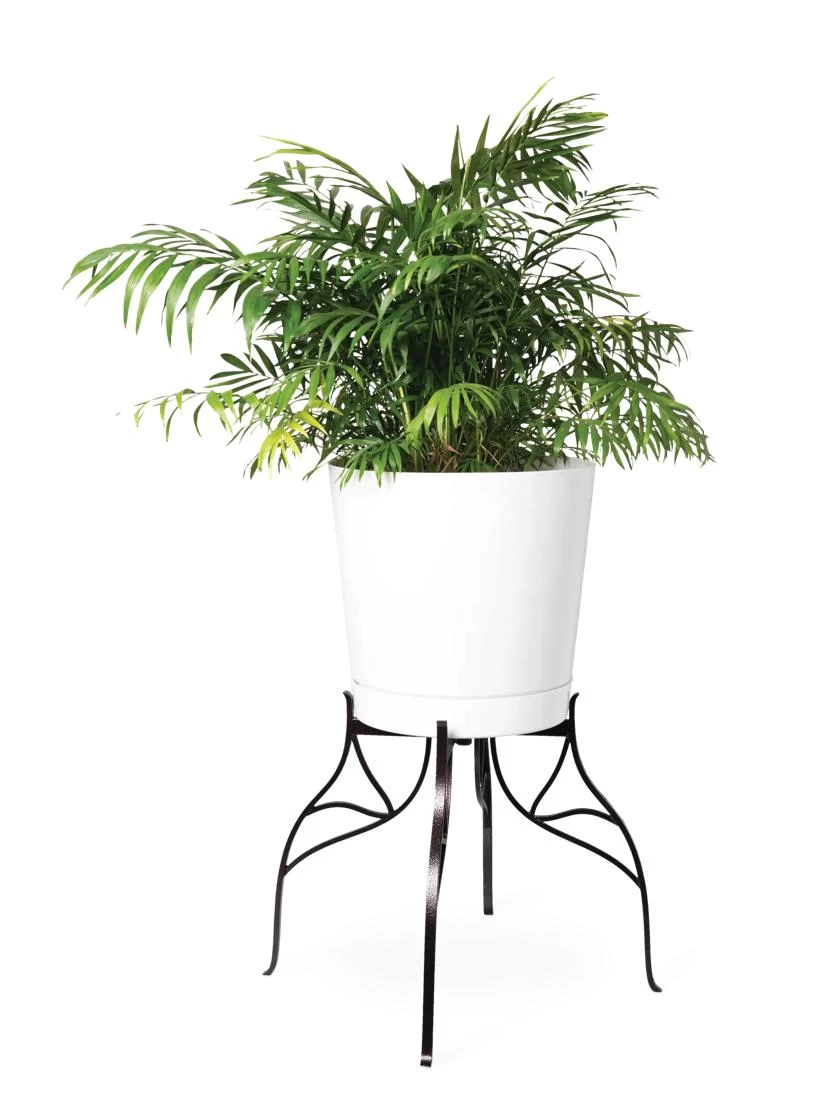 Aubrey Adjustable Plant Stand 1 Aubrey Adjustable Plant Stand