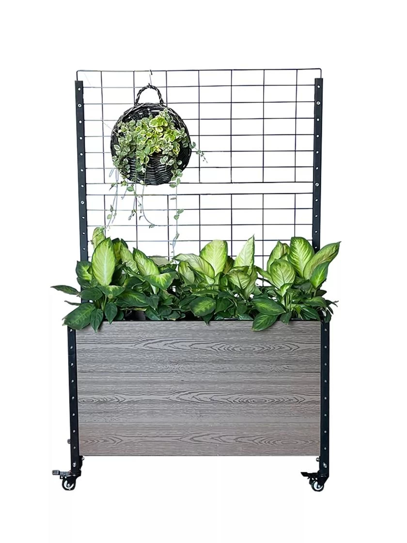 Mobile Deep Trough Planter With Trellis 3 Mobile Deep Trough Planter With Trellis - Image 3