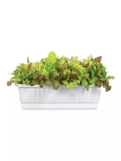 31" Self-Watering Window Box 5 31" Self-Watering Window Box -Gardening Sales Store GS36523 01Z 3 4