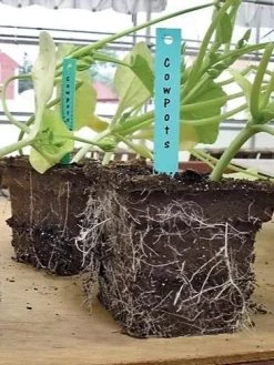 2-3/4" Square Cowpots 6-Packs, Set Of 4 5 2-3/4" Square Cowpots 6-Packs, Set Of 4 -Gardening Sales Store GS37034 05