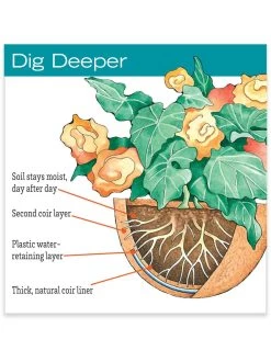 AquaSav™ Replacement Liners, Set Of 3 6 AquaSav™ Replacement Liners, Set Of 3 -Gardening Sales Store hiw 38 583