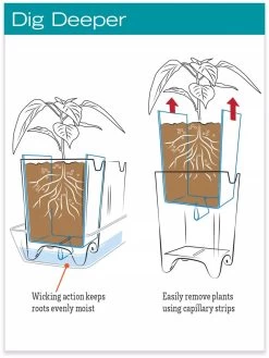 Stoneware Self-Watering Windowsill Planters, Set Of 2 9 Stoneware Self-Watering Windowsill Planters, Set Of 2 -Gardening Sales Store hiw 8593943 jpg